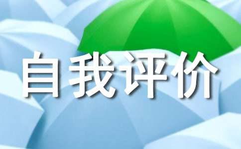 工作质量自我评价